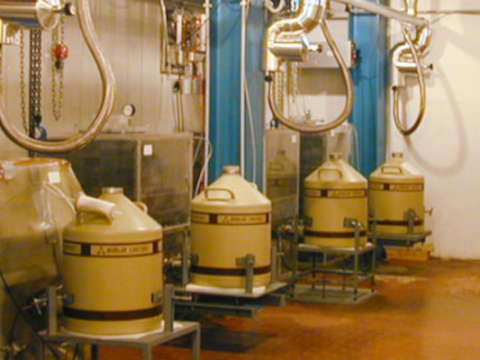 Techniche Speciali per la rivelazione di eventi rari